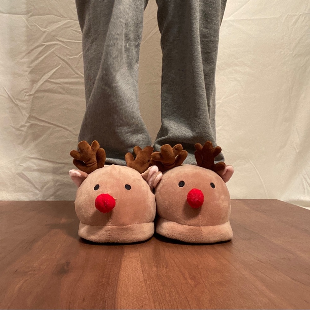 reign dear slippers